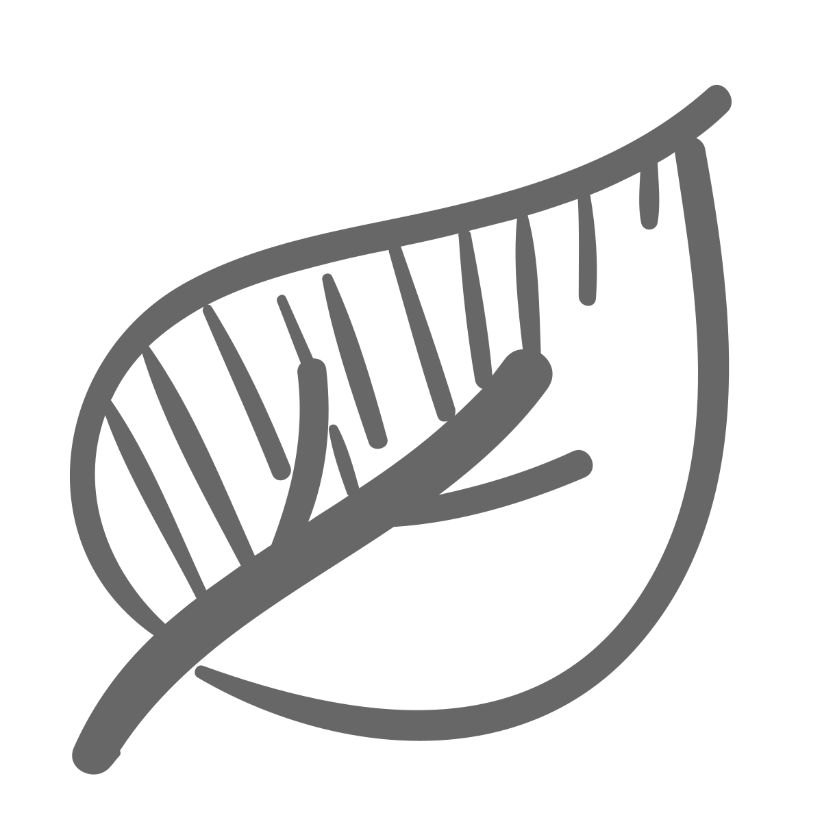 noun-eco-1060074-676767